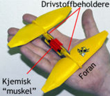 "Entomopter, utviklet av Robert C. Michelson" "Entomopter, utviklet av Robert C. Michelson"