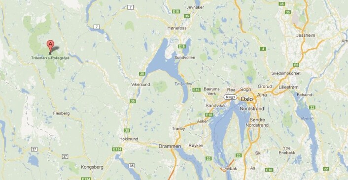 I Trillemarka, vest for Vikersund og Prestfoss i Buskerud, gjemmer det eldste levende grantreet på vår del av Europa seg. (Foto: (Bilde: skjermdump fra Google Maps)) I Trillemarka, vest for Vikersund og Prestfoss i Buskerud, gjemmer det eldste levende grantreet på vår del av Europa seg. (Foto: (Bilde: skjermdump fra Google Maps))