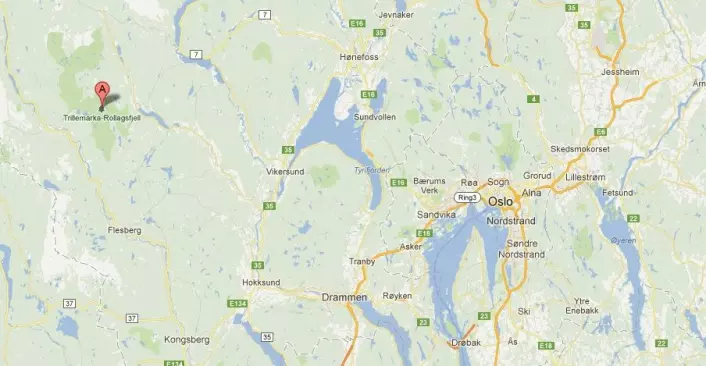 I Trillemarka, vest for Vikersund og Prestfoss i Buskerud, gjemmer det eldste levende grantreet på vår del av Europa seg. (Foto: (Bilde: skjermdump fra Google Maps))