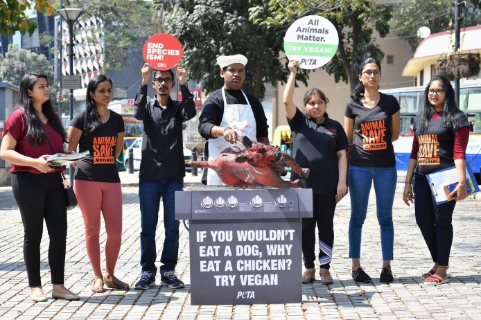 Aktivister fra en indisk dyreverngruppe for etisk behandling av dyr oppfordrer folk til å bli vegetarianere. Her gjennom å late som de griller en hund, noe som har vært vanlig blant vise folkegrupper I India. Aktivister fra en indisk dyreverngruppe for etisk behandling av dyr oppfordrer folk til å bli vegetarianere. Her gjennom å late som de griller en hund, noe som har vært vanlig blant vise folkegrupper I India.
