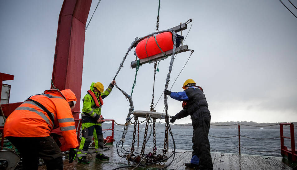Forskarane har testa korleis seismikk på påverke livet i havet på mange nivå. I februar 2020 undersøkte dei korleis torsk reagerer på seismikk.