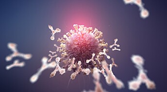 Blir vi immune mot koronaviruset?