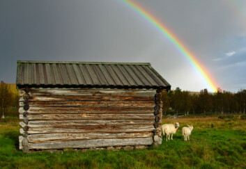 Her finn vi det grøne gullet! Vegetasjonskartlegging dokumenterer kvar dei beste beita finnes. Frå Storgrytdalen, på Nyeggsætra i Stor-Elvdal kommune i Hedmark. (Foto: Lars Østbye Hemsing/Skog og landskap) Her finn vi det grøne gullet! Vegetasjonskartlegging dokumenterer kvar dei beste beita finnes. Frå Storgrytdalen, på Nyeggsætra i Stor-Elvdal kommune i Hedmark. (Foto: Lars Østbye Hemsing/Skog og landskap)