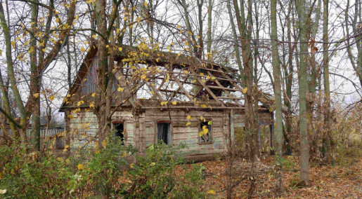 Områdene rundt Tsjernobyl kan få nytt liv