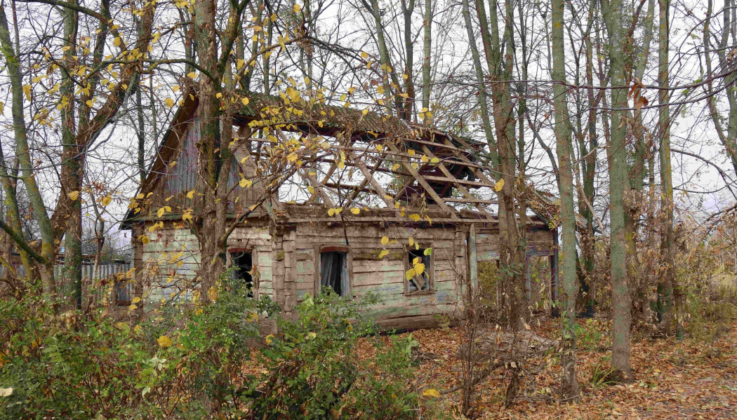 Et forlatt hus nær Tsjernobyl. Et forlatt hus nær Tsjernobyl.