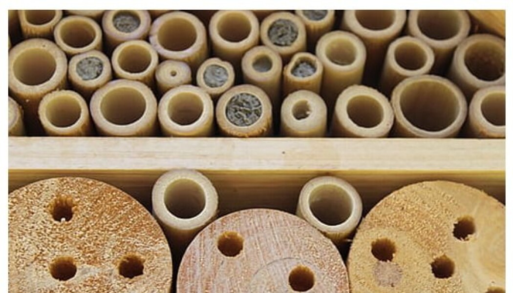 Bak de gjenmurte åpningene i insekthotellet ligger blodferske insekt og venter på beskjed fra vårens varme solstråler om at det er på tide å krabbe ut i verden. Foto fra Piqsels.com Bak de gjenmurte åpningene i insekthotellet ligger blodferske insekt og venter på beskjed fra vårens varme solstråler om at det er på tide å krabbe ut i verden. Foto fra Piqsels.com