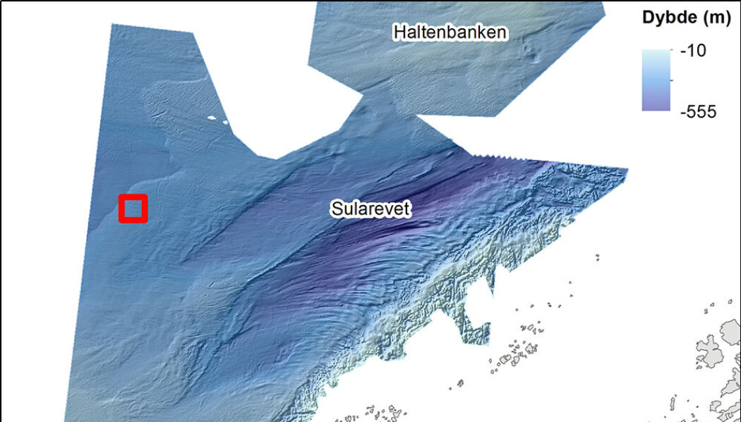 Detaljert terrengkart over bankene på Trøndelagskysten. Den røde firkanten viser kartutsnittet i figur 2. Dybdedata fra Kartverket/Mareano. Detaljert terrengkart over bankene på Trøndelagskysten. Den røde firkanten viser kartutsnittet i figur 2. Dybdedata fra Kartverket/Mareano.