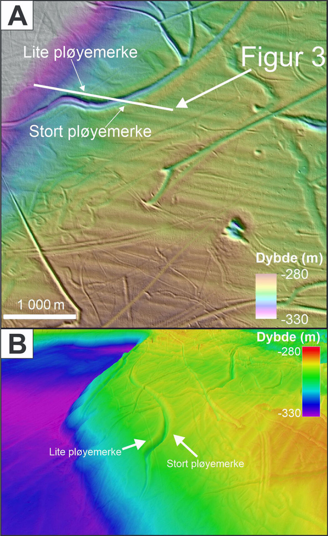 A) Utsnitt av dybdekart, med eksempler på pløyemerker av forskjellig størrelse og retning. Den hvite linjen indikerer et profil fra sedimentekkolodd, som krysser to av pløyemerkene. B) 3D-bilde fra kanten av Frøyabanken; samme store pløyemerke som i bildet over. Dybdedata fra Kartverket/Mareano. A) Utsnitt av dybdekart, med eksempler på pløyemerker av forskjellig størrelse og retning. Den hvite linjen indikerer et profil fra sedimentekkolodd, som krysser to av pløyemerkene. B) 3D-bilde fra kanten av Frøyabanken; samme store pløyemerke som i bildet over. Dybdedata fra Kartverket/Mareano.