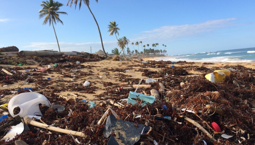 In order to rid the oceans of plastic, we first have to get rid of plastic on land. Cement factories in Asia may be part of the solution. In order to rid the oceans of plastic, we first have to get rid of plastic on land. Cement factories in Asia may be part of the solution.