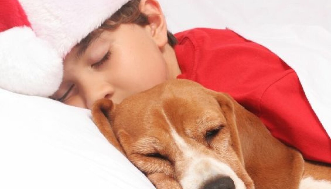 Søvn: Døgnrytmen styrer mennesker og dyr