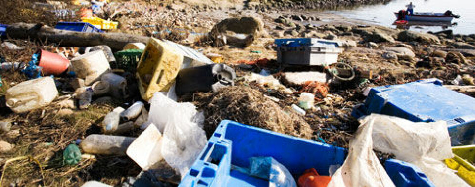 28 milloner tonn plast ender i havet. Nå vil forskere finne ut hvordan plastpartiklene påvirker livet i havet og hvilke konsekvenser det har for marine organismer og det marine økosystemet langs norskekysten. (Foto: Shutterstock)