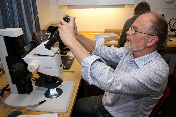 Arne Fjellberg fotograferer ved hjelp av sin egen kameraløsning. (Foto: Georg Mathisen) Arne Fjellberg fotograferer ved hjelp av sin egen kameraløsning. (Foto: Georg Mathisen)