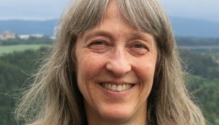Professor Vibeke Videm sier det er nødvendig å behandle sakene så raskt. Professor Vibeke Videm sier det er nødvendig å behandle sakene så raskt.