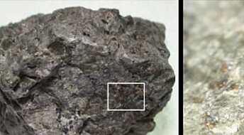 Stoffer i gammel Mars-meteoritt hinter om levelig fortid