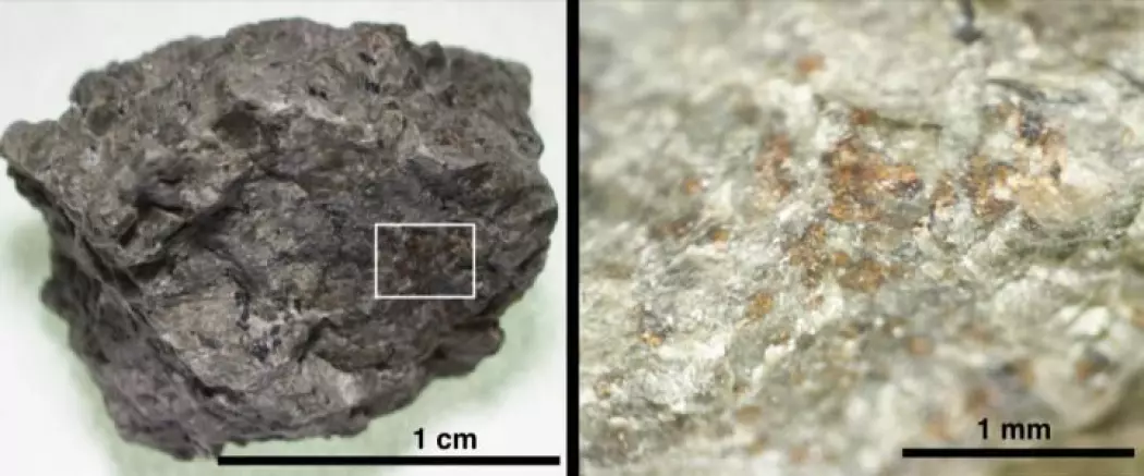 Den berømte Mars-meteoritten ALH 84001 inneholder oransje korn av organiske stoffer