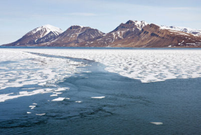 Sjøisen i Arktis har ifølge nye målinger nådd et rekordlavt nivå i år. (Foto: iStockphoto) Sjøisen i Arktis har ifølge nye målinger nådd et rekordlavt nivå i år. (Foto: iStockphoto)