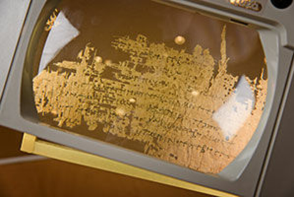 UiOs fagmiljø innen papyrologi ble en gang regnet blant de beste i verden. Det er nå i ferd med igjen å bli et viktig senter for papyrologi. (Foto: John Hughes)