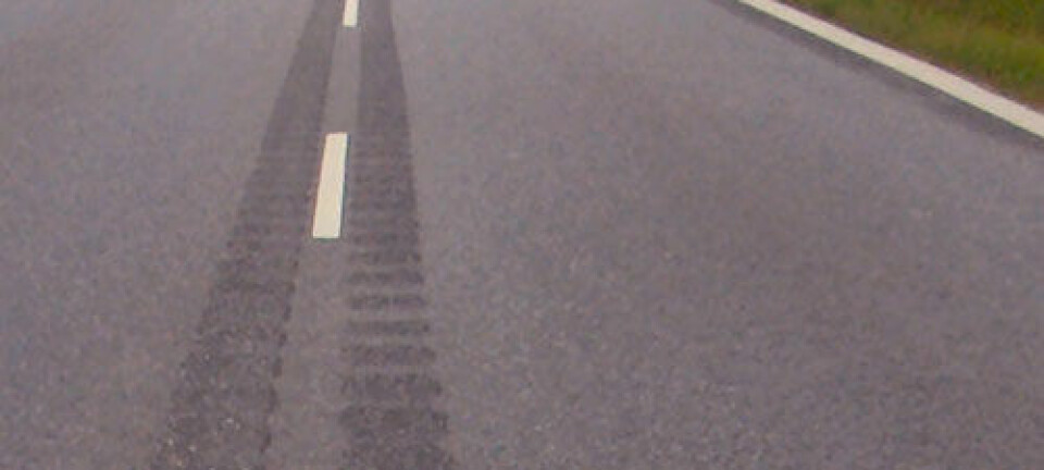 Rumlefelt frest ut i midten av en dansk vei. Lcl/Wikimedia Commons