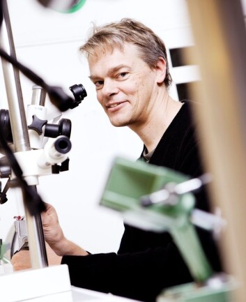 Edvard Moser. (Foto: Geir Mogen / NTNU) Edvard Moser. (Foto: Geir Mogen / NTNU)