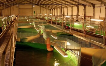 Avfallsstoffer fra landbasert fiskeoppdrett kan utnyttes som en ressurs. (Foto: Geir Helge Johnsen) Avfallsstoffer fra landbasert fiskeoppdrett kan utnyttes som en ressurs. (Foto: Geir Helge Johnsen)