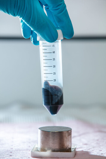 This container holds large quantities of tiny magnetic balls. Their job is to bind the virus’s RNA to them, part of the method to find out whether the virus causes COVID-19 or not. This container holds large quantities of tiny magnetic balls. Their job is to bind the virus’s RNA to them, part of the method to find out whether the virus causes COVID-19 or not.