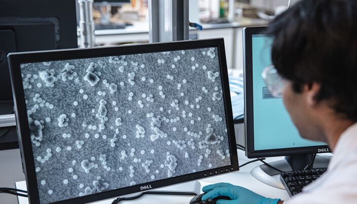 This is what the magnetic nanoparticles look like, greatly enlarged. This is what the magnetic nanoparticles look like, greatly enlarged.