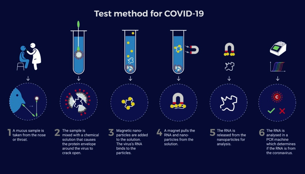 How the NTNU test works, step by step. Illustration: NTNU Technology Transfer How the NTNU test works, step by step. Illustration: NTNU Technology Transfer