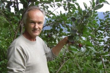 Eivind Vangdal ved Bioforsk Vest Ullensvang i Hardanger. (Foto: Bioforsk) Eivind Vangdal ved Bioforsk Vest Ullensvang i Hardanger. (Foto: Bioforsk)