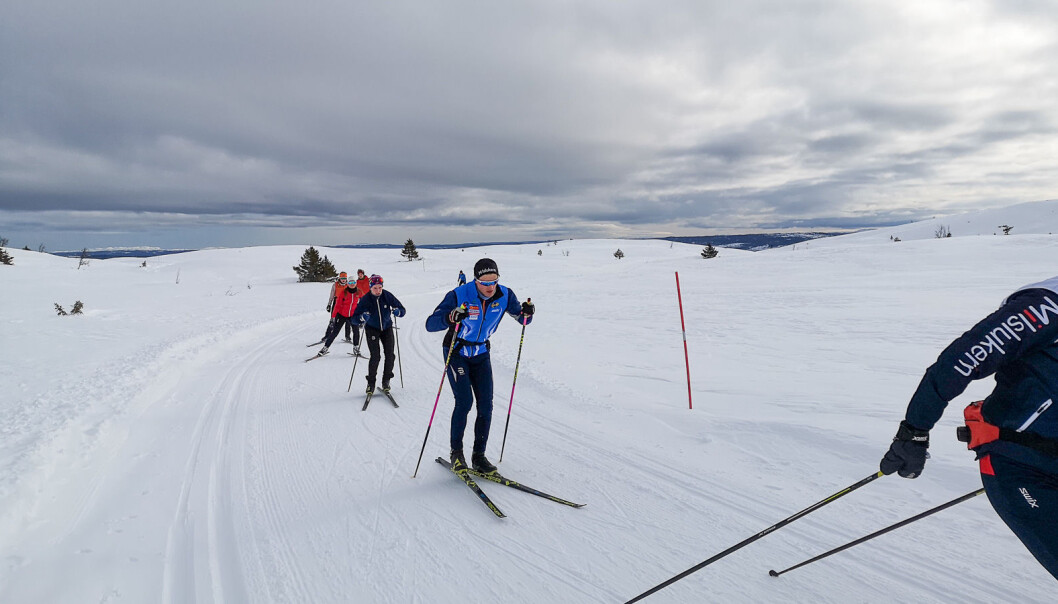 Å bytte på hva man trener er selve clouet for å finslipe teknikken, og prinsippet kan brukes på alt fra ski til... det meste, mener Christian Magelssen, Thomas Losnegard og Per Haugen. Fra en treningssamling i regi av NIH på fjellet ved Ål. Å bytte på hva man trener er selve clouet for å finslipe teknikken, og prinsippet kan brukes på alt fra ski til... det meste, mener Christian Magelssen, Thomas Losnegard og Per Haugen. Fra en treningssamling i regi av NIH på fjellet ved Ål.