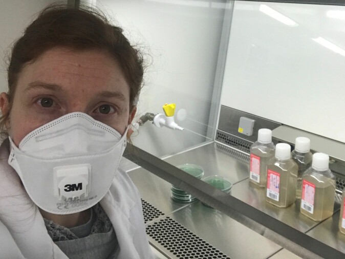 Cecilie Svanevik på laben med de første kloakkprøvene HI mottok før påske.