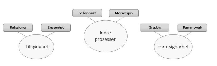Figur 1: Funn fra fokusgruppestudien Figur 1: Funn fra fokusgruppestudien