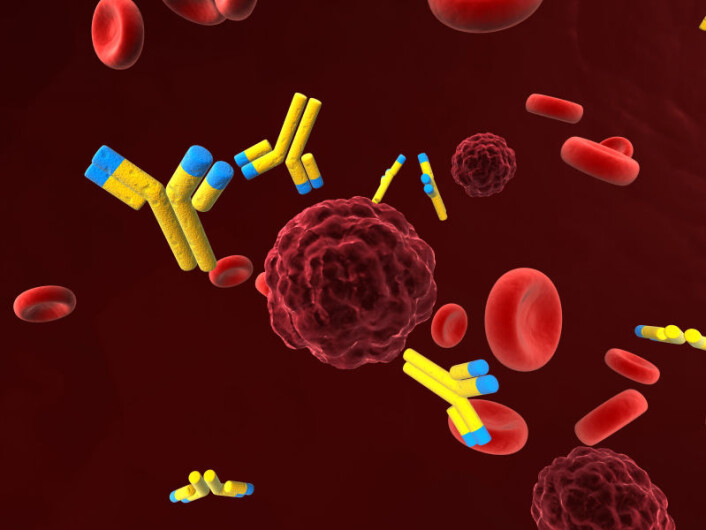 Immunforsvarets soldater, de såkalte T-cellene, svømmer rundt i kroppen på utkikk etter «fienden», som i dette tilfellet er kreftceller. Immunbehandling går ut på å styrke T-cellene, slik at kroppen er bedre selv rustet til å angripe kreften. (Foto: (Illustrasjon: iStockphoto)) Immunforsvarets soldater, de såkalte T-cellene, svømmer rundt i kroppen på utkikk etter «fienden», som i dette tilfellet er kreftceller. Immunbehandling går ut på å styrke T-cellene, slik at kroppen er bedre selv rustet til å angripe kreften. (Foto: (Illustrasjon: iStockphoto))