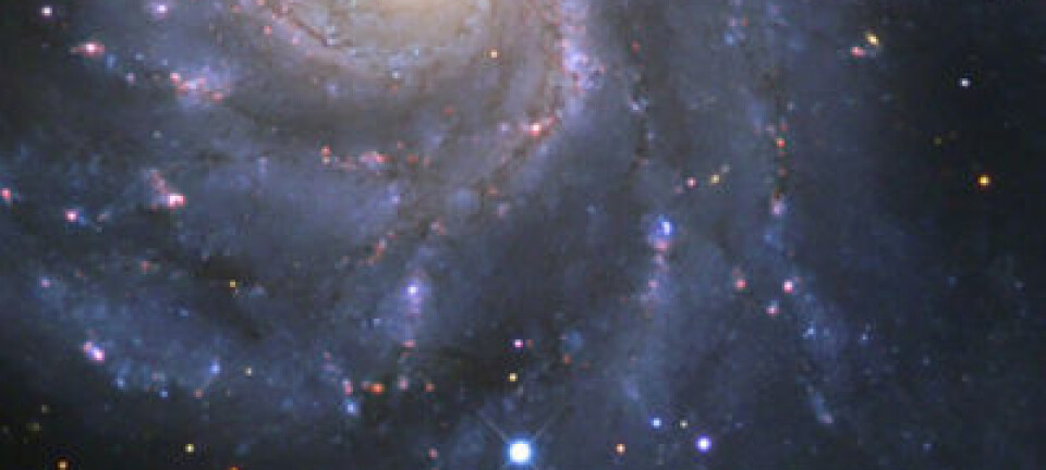 Supernova SN2011fe, oppdaget den 24. august 2011. BJ Fulton (LCOGT), PTF & the Space Telescope Science Institute