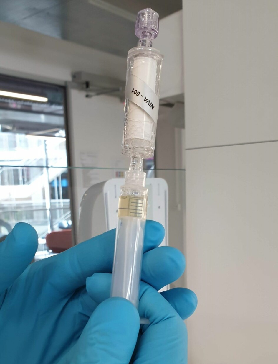 Vannprøver filtreres i felt og tas med til laboratoriet for analyse. Den gulbrune væsken på bildet kan inneholde den genetiske signaturen til hundrevis av forskjellige organismer – man må bare vite hva man skal lete etter!