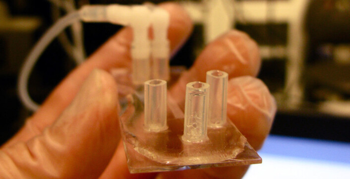 Dette er en prototype av diagnostiserings-chipen. Den er av plast og på størrelse med et kredittkort. (Foto: Jason Beech) Dette er en prototype av diagnostiserings-chipen. Den er av plast og på størrelse med et kredittkort. (Foto: Jason Beech)