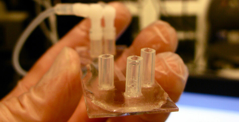 Dette er en prototype av diagnostiserings-chipen. Den er av plast og på størrelse med et kredittkort. (Foto: Jason Beech)