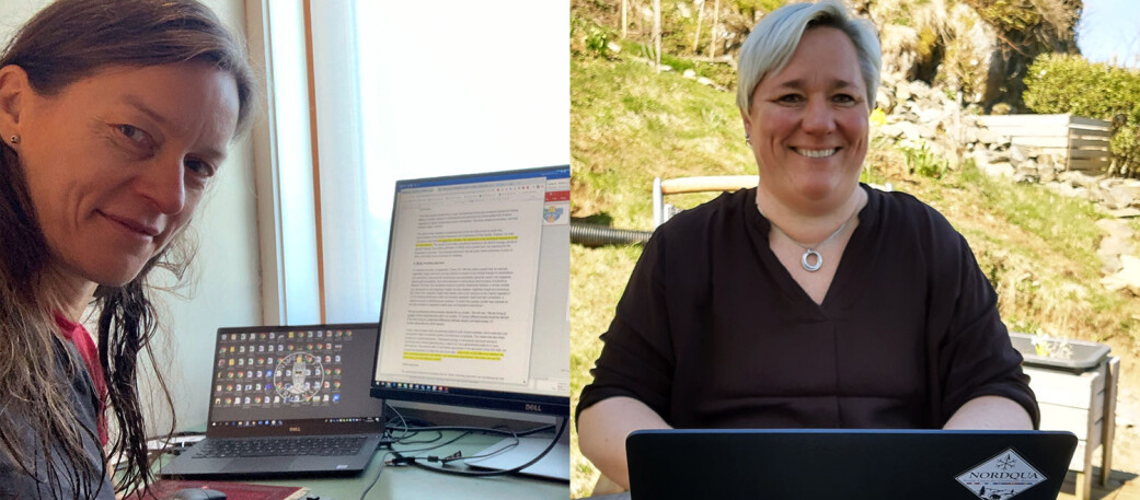 Anne Bjune (til venstre) og Vigdis Vandvik jobber med klimaforskning og planter på to ulike måter. Mens Bjune jobber med å spore opp fortidens vegetasjon gjennom fossile planterester for eksempel på bunnen av en innsjø, undersøker Vandvik hvordan plantene reagerer på endringer i klima. Anne Bjune (til venstre) og Vigdis Vandvik jobber med klimaforskning og planter på to ulike måter. Mens Bjune jobber med å spore opp fortidens vegetasjon gjennom fossile planterester for eksempel på bunnen av en innsjø, undersøker Vandvik hvordan plantene reagerer på endringer i klima.