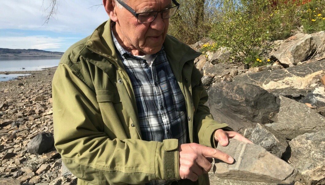 Ole Nashoug peker på spor etter det rette skallet til en forhistorisk blekksprut.