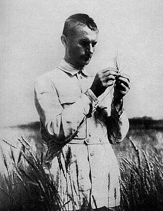 Trofim Lysenko ute i åkeren. Hans teorier førte til fullstendig kollaps og hungersnød i Sovjetunionen. Trofim Lysenko ute i åkeren. Hans teorier førte til fullstendig kollaps og hungersnød i Sovjetunionen.