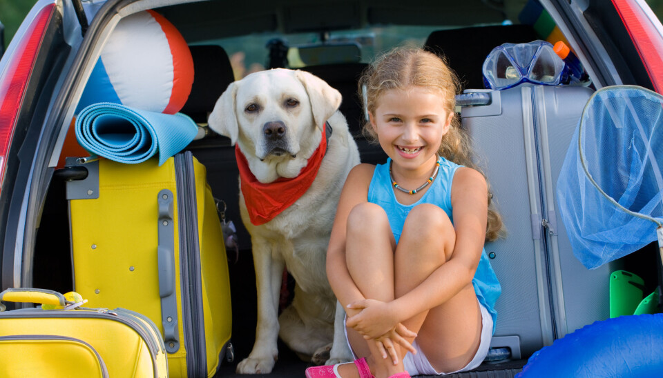 Though normally a fan of sustainable options, Gössling recommends travelling by car this summer.