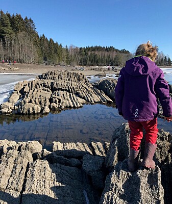 Skiver av gammel havbunn ligger på skeive ved Moelv, nord for Hamar. Skiver av gammel havbunn ligger på skeive ved Moelv, nord for Hamar.