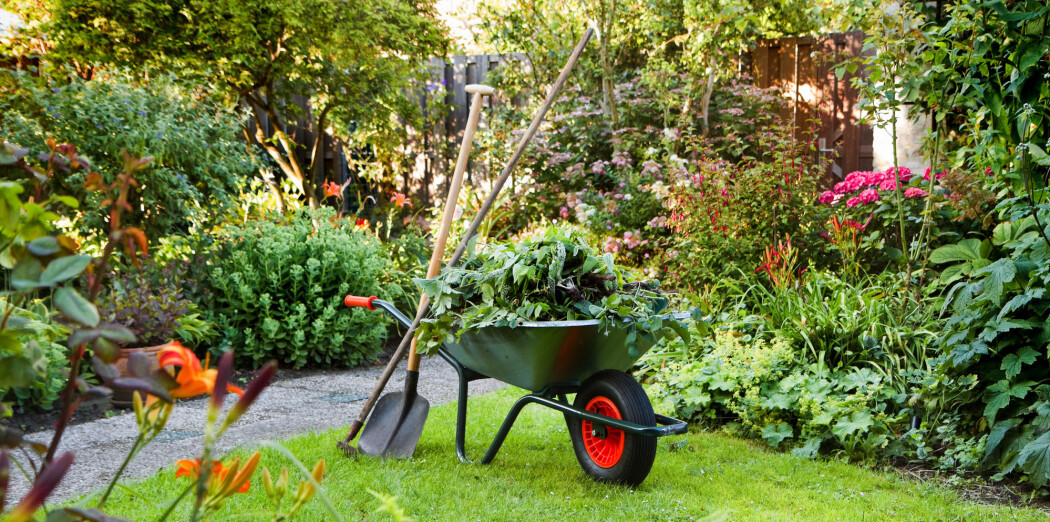 Om du vil være klimavennlig, er jorda du bruker viktigere enn plantene i hagen din. Om du vil være klimavennlig, er jorda du bruker viktigere enn plantene i hagen din.