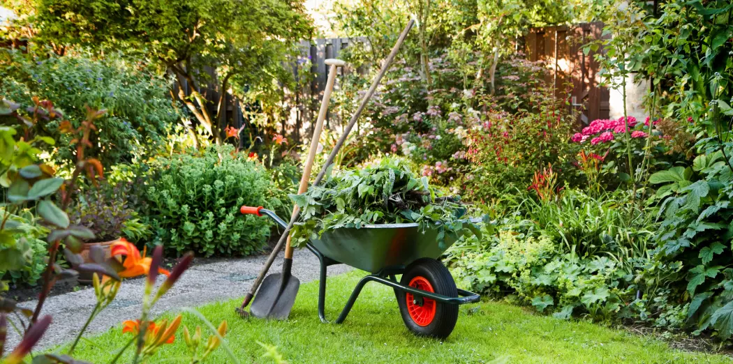 Om du vil være klimavennlig, er jorda du bruker viktigere enn plantene i hagen din.