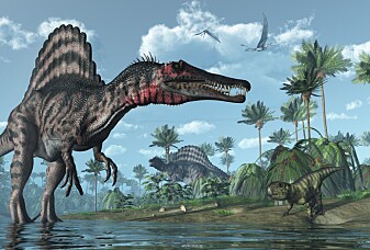 Kunne verdens største kjøttspisende dinosaur svømme?