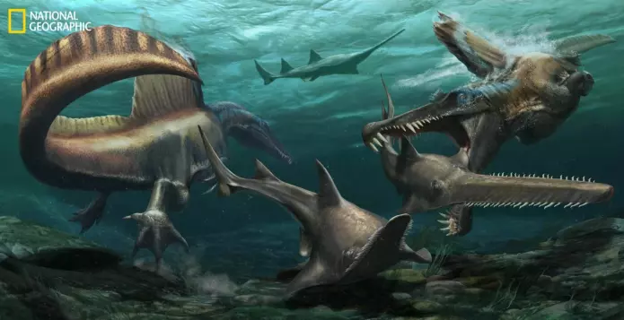 Slik kan Spinosaurus ha levd. (Utgravingen av halen var støttet med penger av National Geographic Society.)