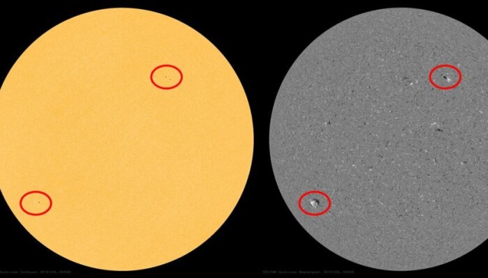 Dette bildet av solen er fra slutten av 2019, og viser det som sannsynligvis er solflekker som tilhører den neste solsyklusen. Om den definitivt har startet er enda uklart. Dette bildet av solen er fra slutten av 2019, og viser det som sannsynligvis er solflekker som tilhører den neste solsyklusen. Om den definitivt har startet er enda uklart.