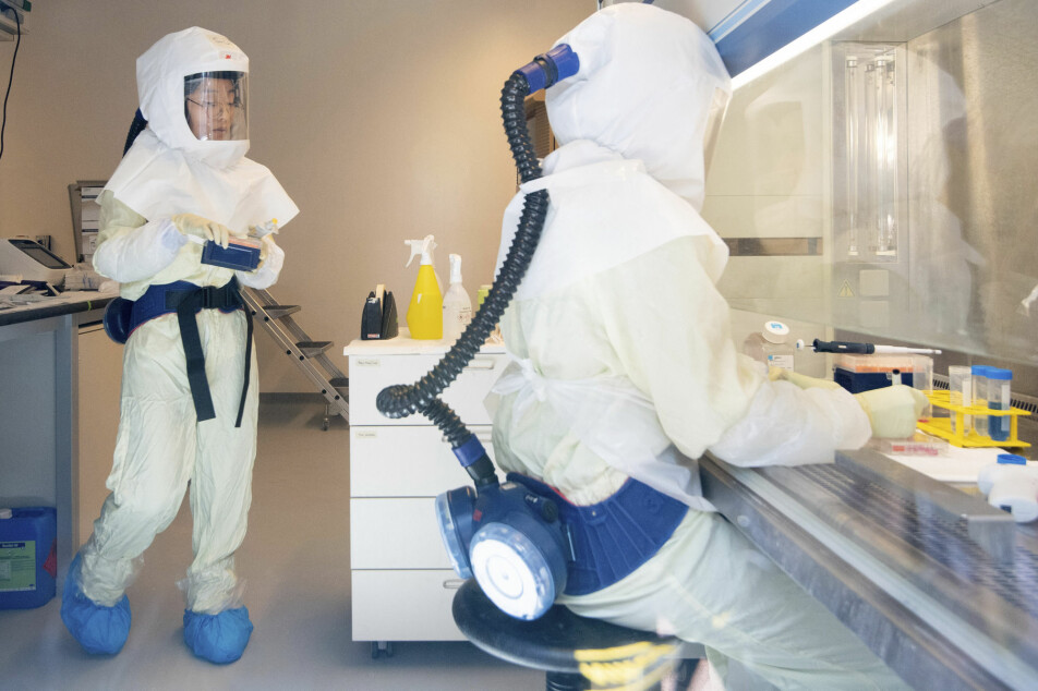 Koronavirusforskere på et laboratorium ved Helmholtz Centre for infeksjonsforskning i Brunswick i Tyskland.