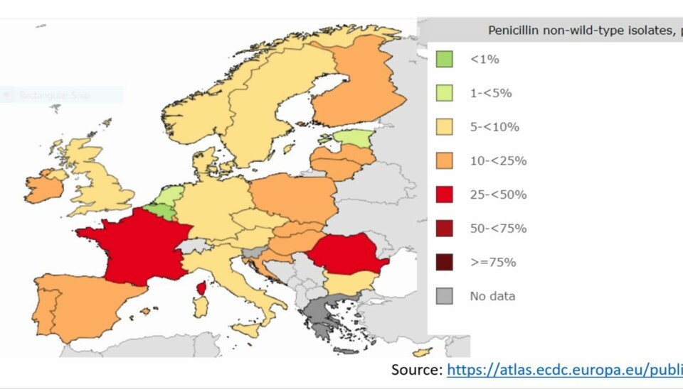 Kartet under viser forekomsten av pneumokokkbakterier som er resistente mot penicillin, i land i Europa. Disse kan blant annet forårsake lungebetennelse.