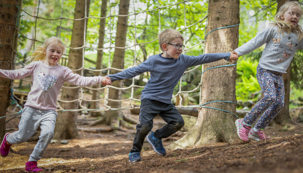The survey indicates that activity during the preschool years is crucial to motor skills much later on. The survey indicates that activity during the preschool years is crucial to motor skills much later on.