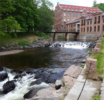 Dyrelivet i Akerselva er nesten tilbake på nivået før utsleppet for to år sidan. (Foto: Henning Pavels, NHM/UiO) Dyrelivet i Akerselva er nesten tilbake på nivået før utsleppet for to år sidan. (Foto: Henning Pavels, NHM/UiO)